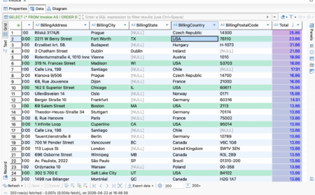 DBeaver Data Editor light theme showing spreadsheet-style table rows